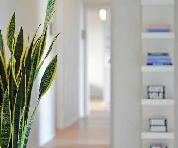 I Giardini Di Zelda 3*